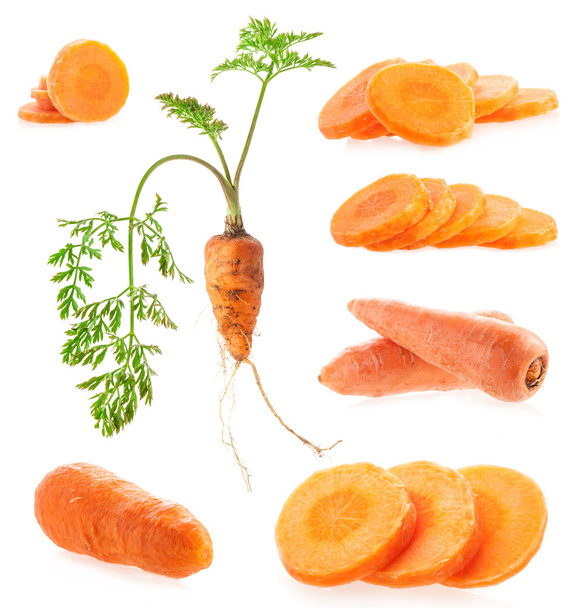 Колекції Свіжої моркви
 - Фото, зображення