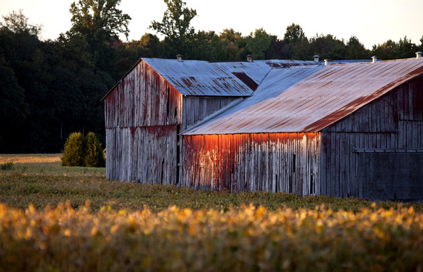 Červená stodola při západu slunce - Fotografie, Obrázek