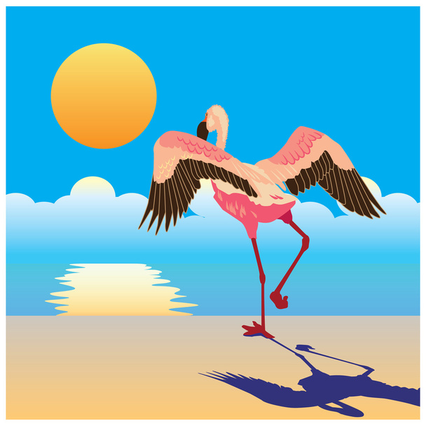 flamingo rannalla
 - Vektori, kuva