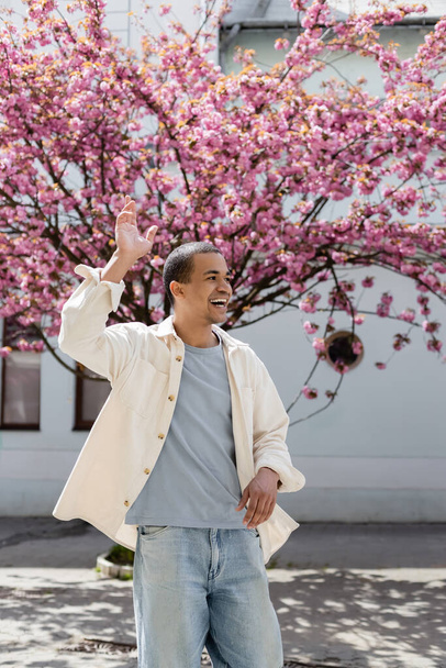 african american man in shirt jacket walking near pink cherry tree - Photo, Image