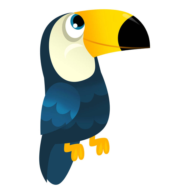 Cartoon animal bird toucan on white background illustration for children - Фото, изображение