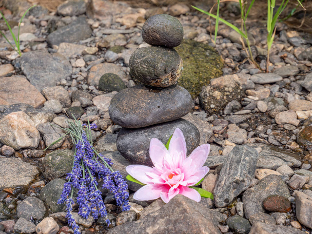 Balance of stones with lavender and lotus flower - 写真・画像
