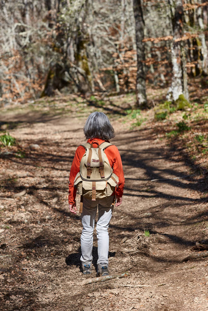 Woman walking in the woods. Healthy lifestyle. Trekking and hiking - 写真・画像