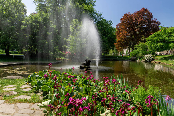 Marianske Lazne (Marienbad) -温泉センターに噴水のある小さな湖-春の緑の公園 - 写真・画像
