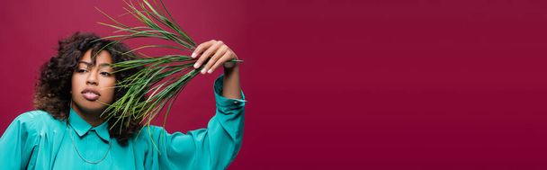 african american woman posing with green branch and looking away isolated on dark pink, banner - Foto, Imagen