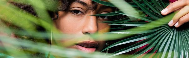 pretty african american woman looking at camera near exotic leaves on blurred foreground, banner - Foto, Imagem