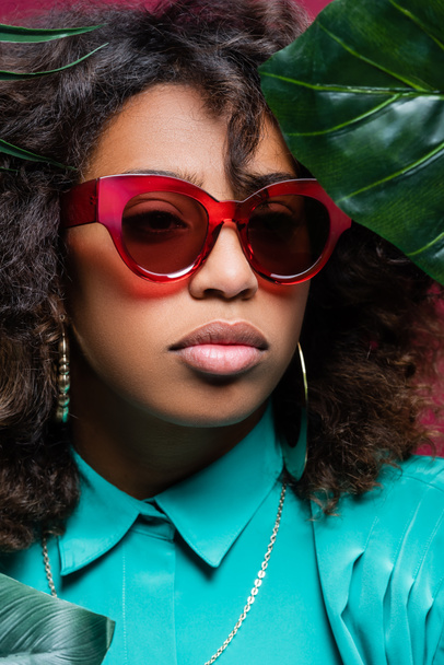 Esmer, Afro-Amerikan kadın portresi. Yeşil yaprakların yanında son moda güneş gözlüğü takıyor. - Fotoğraf, Görsel