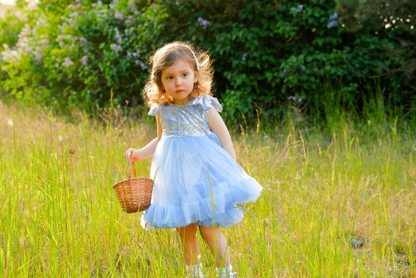 Το παιδί περπατάει στο πάρκο. κοριτσάκι ντυμένο με μπλε φόρεμα.. - Φωτογραφία, εικόνα