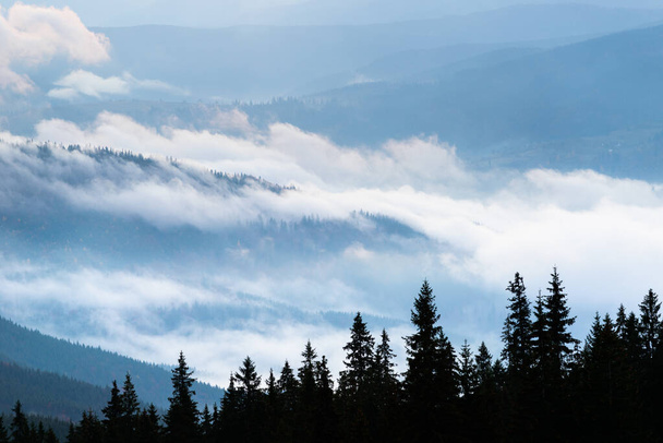 Autumn landscape with fog in the mountains. Fir forest on the hills. Carpathians, Ukraine, Europe - Photo, Image