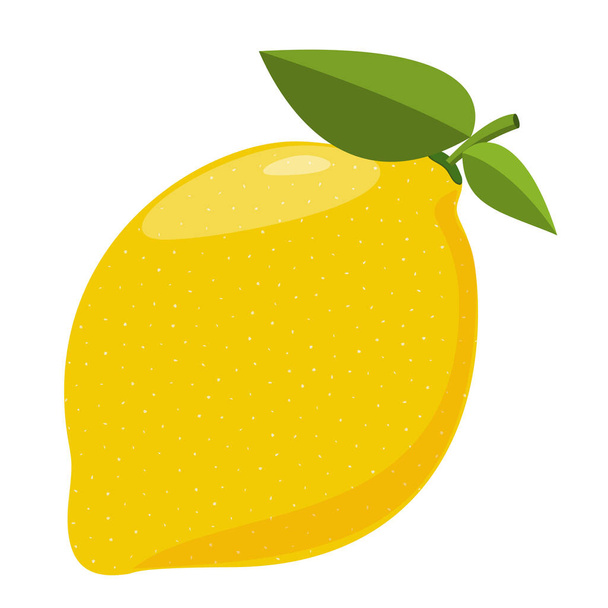 yellow lemon fruit isolated on white background - Vektör, Görsel