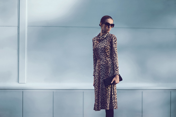Street fashion concept - pretty elegant woman in leopard dress a - Foto, afbeelding