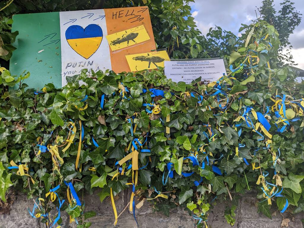 Ukrán kék és sárga zászlós csíkok egy zöld bokron és plakátok után az ukrán tüntetés közel az orosz nagykövetség Dublinban, Írország - Fotó, kép