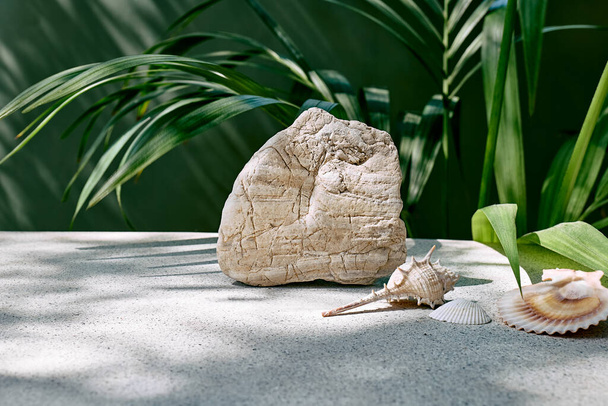 Beyaz taş ve deniz kabukları sunum için koyu yeşil yüzey ve palmiye yaprakları önünde podyum olarak sergilenir. Yaya tezgahı. Kozmetik veya eko güzellik ürünü tanıtım modası minimalist modelleme. - Fotoğraf, Görsel