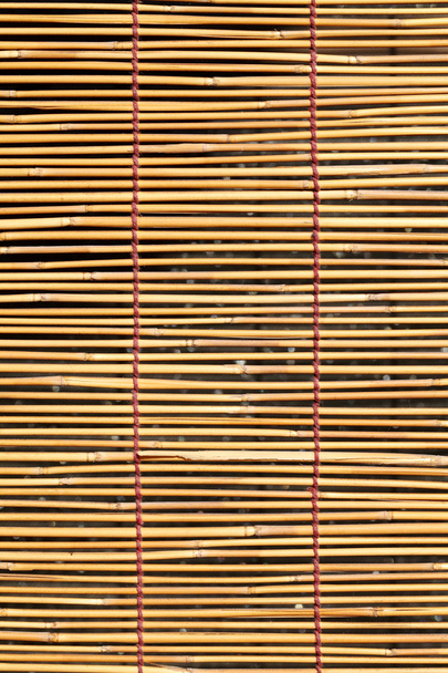 Bamboo curtain - Photo, Image