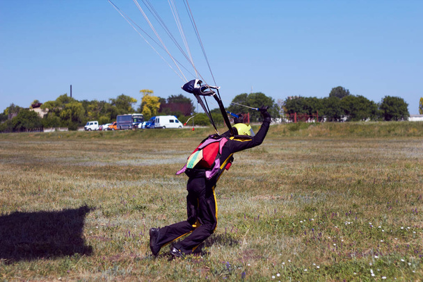 Досвідчений спортсмен парашутист успішно приземлився і тягне слінги парашутом
 - Фото, зображення