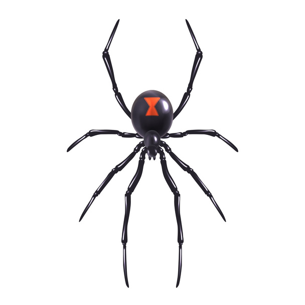 Aranha realista isolada
 - Vetor, Imagem