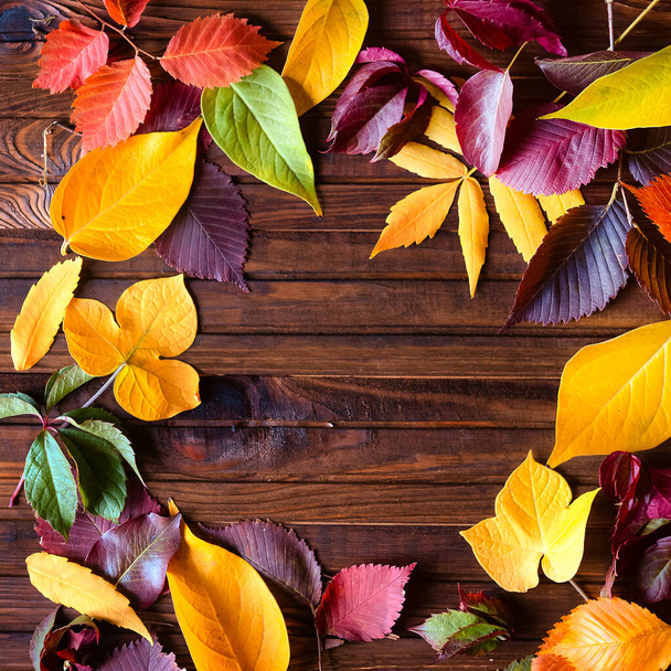 Autumn frame for your idea and text. Autumn fallen dry leaves of yellow, red, orange, laid out on the left side of the frame on an old wooden board of brown color. The pattern of autumn - Fotó, kép