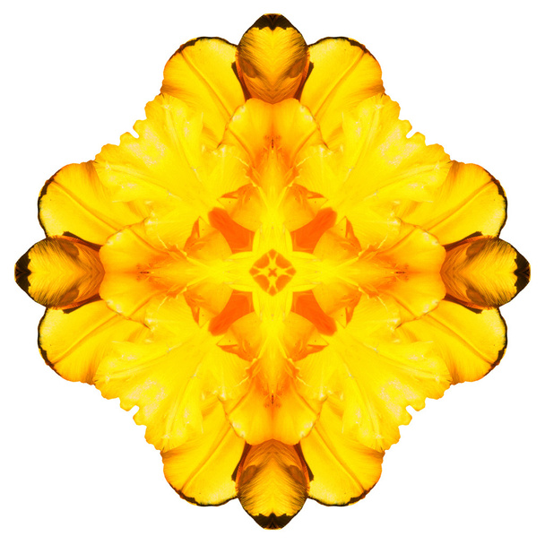 Flower mandala isolated on white background - Foto, Imagem