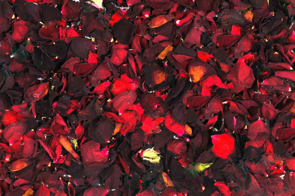 赤いバラの花びらの背景は - 写真・画像