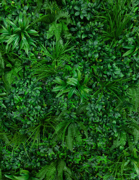 Natural background with tropical green leaves. Abstract nature pattern with tropical texture. - Photo, Image