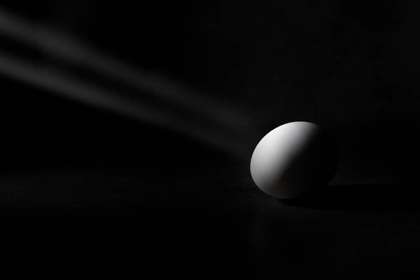 White egg in shadows with a small illuminated part. - Photo, Image