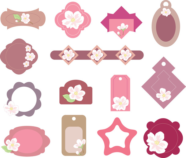 Floral borders and tags - Vector, Image