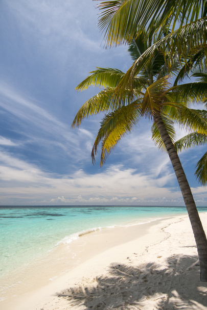 παραλία Μαλδίβες - Φωτογραφία, εικόνα