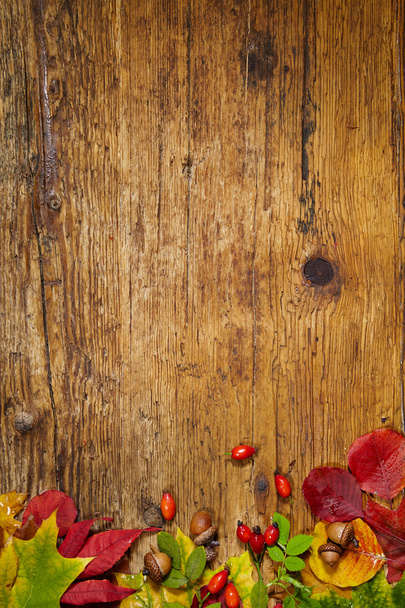 Autumn Leaves over wooden background - Foto, afbeelding