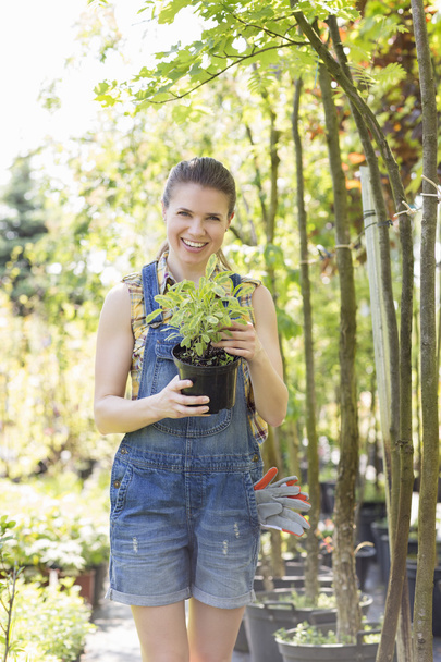 Woman holding potted plant - Foto, imagen