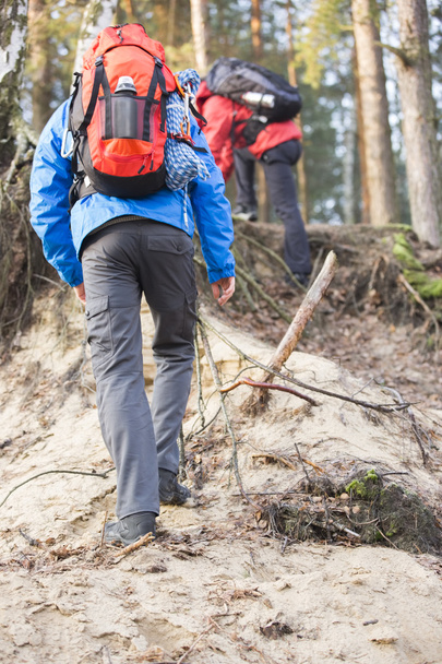 Backpackers hiking in forest - Fotografie, Obrázek