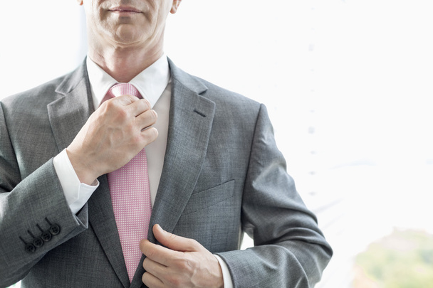 zakenman aanpassen stropdas - Foto, afbeelding