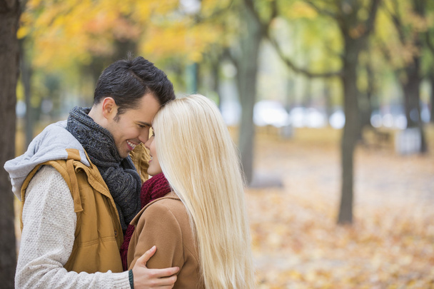 Couple hugging in park - Photo, image