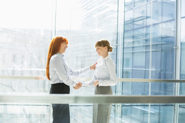 Businesswomen shaking hands - 写真・画像