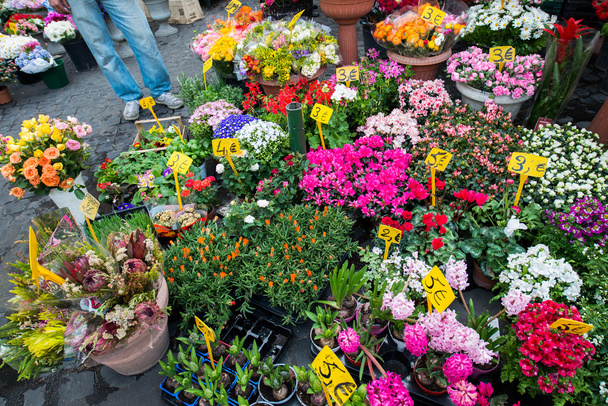 Pouliční květinářství s barevnými květy - Fotografie, Obrázek
