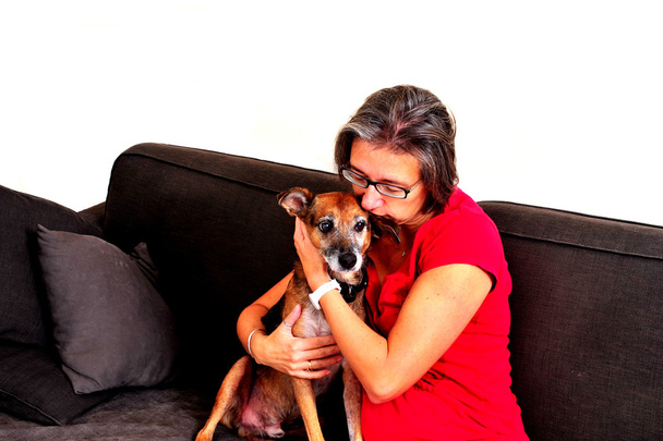 Kadın ile köpek gri bir divan sarılma - Fotoğraf, Görsel