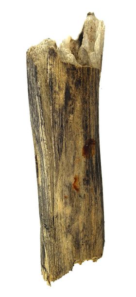 log wood isolated on white background - Photo, Image