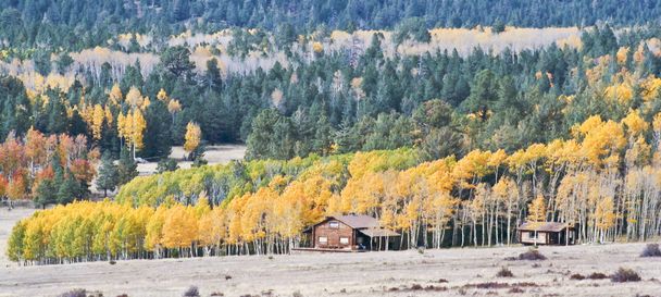 Пара гірських будинків восени
 - Фото, зображення