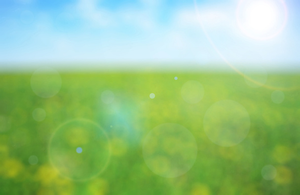 Прекрасний луг у сонячний день
 - Фото, зображення