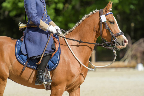 Blick auf einen Reiter während einer Jagd in Frankreich - Foto, Bild