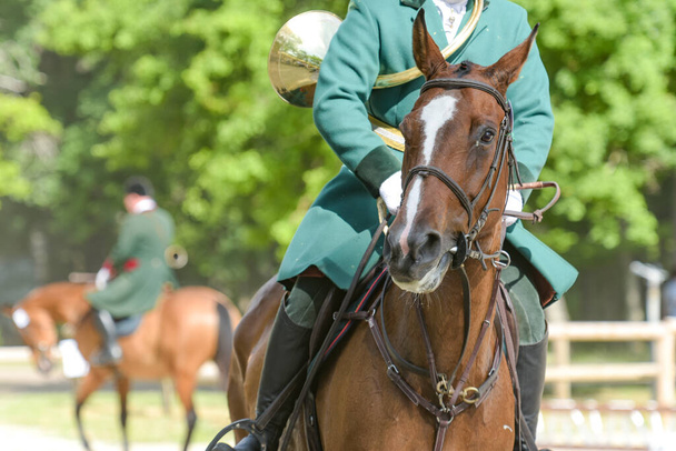 view of a rider during a hunt in France - Photo, Image
