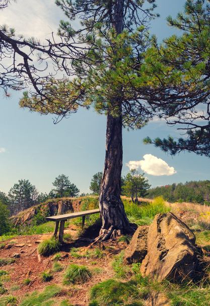 Summer landscape showing wooden bench on top of the mountain - Foto, Imagen
