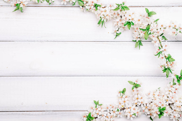 Cherry tree blossom. April floral nature and spring sakura blossom on wooden background. Banner for 8 march, Happy Easter with place for text. Springtime concept. Top view. Flat lay - Zdjęcie, obraz