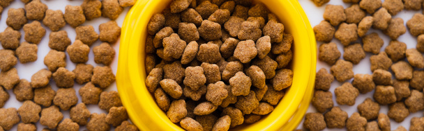 top view of dry pet food in plastic yellow bowl, banner - Fotografie, Obrázek