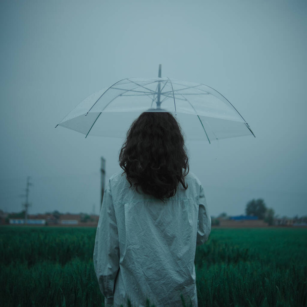 young woman in a green dress with a umbrella in the field - Foto, immagini
