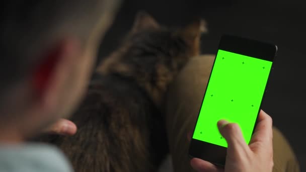 Άνδρας που χρησιμοποιεί smartphone με πράσινη οθόνη mock-up σε κάθετη λειτουργία και χαϊδεύοντας την χνουδωτή γάτα. Περιήγηση στο Internet, παρακολούθηση περιεχομένου, βίντεο. - Πλάνα, βίντεο