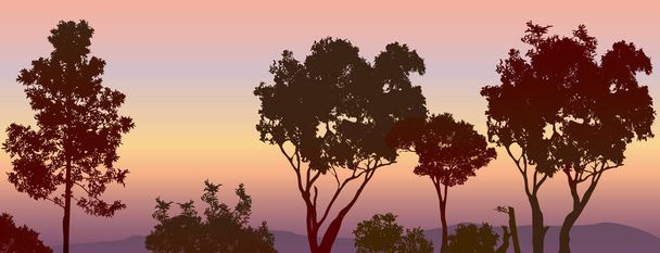 силует, якщо коричневі ясенні дерева з фоном заходу сонця і горою
 - Вектор, зображення