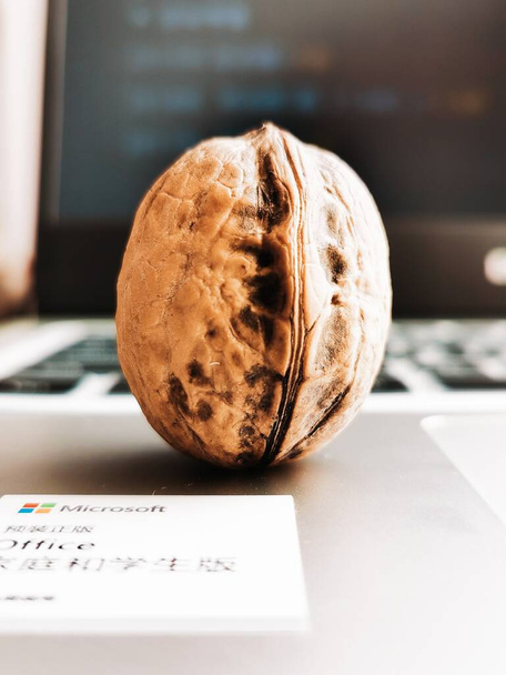 close up of a walnut on a white background - Foto, Imagen