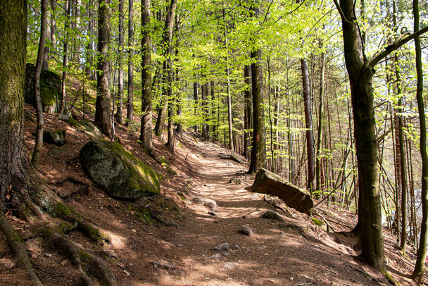 Szklarska Poreba Poland. May 8, 2022. A forest road in the Polish mountains. - Photo, Image