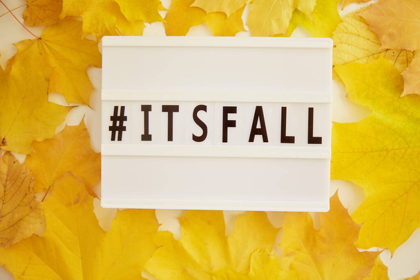 Text hashtag its fall. Aesthetic autumn yellow leaves background. Top view. Trendy autumn background. High quality photo - Photo, Image