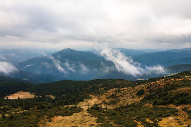 Γραφικό τοπίο με πράσινα βουνά και χορτώδες λιβάδι στην κοιλάδα που περιβάλλεται από κωνοφόρα δάσος στους λόφους, ένα ταξίδι στα Καρπάθια της Ουκρανίας. - Φωτογραφία, εικόνα